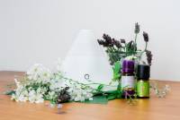 Aromatherapie bei Tiertherapie Dresden